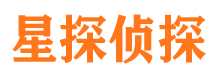 霞山市侦探公司